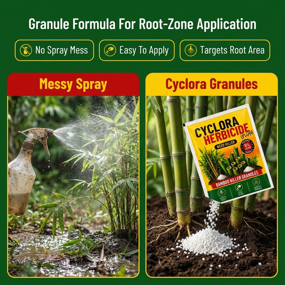 Cyclora Herbicide Plus Granules | 🔥BUY 1 GET 1 FREE🔥